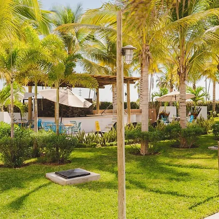 Palmilla 301,Depa 5 Min De Playa-3